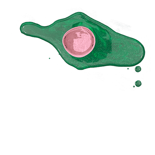 DADALITE